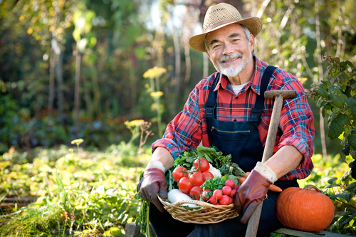 4 Simple Steps for Growing Your Own Organic Food