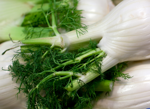 Reasons to Include Organic Fennel in your Diet
